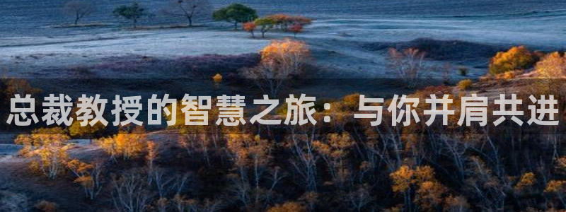 羞羞漫画最新网站入口：总裁教授的智慧之旅：与你并肩共进