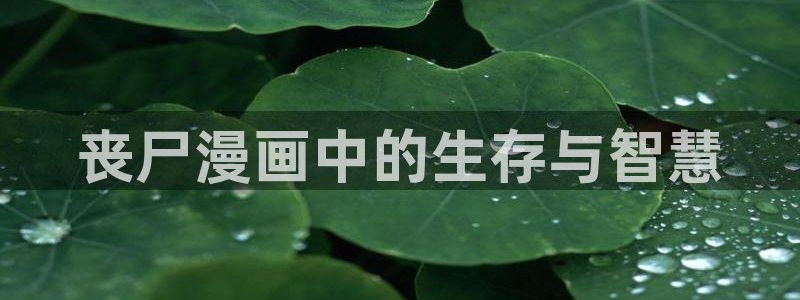 羞羞漫画yy漫画