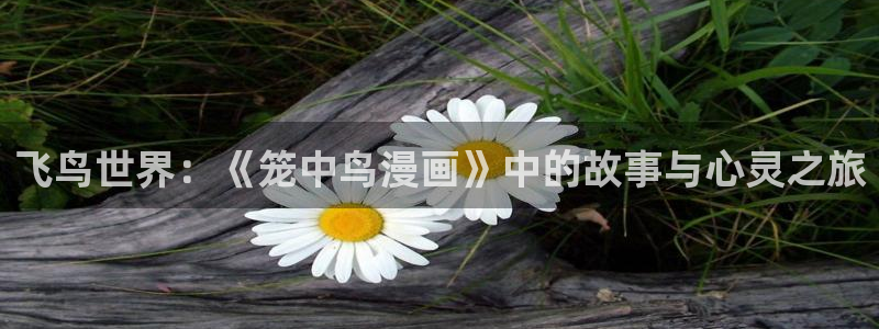 羞羞漫画下划式