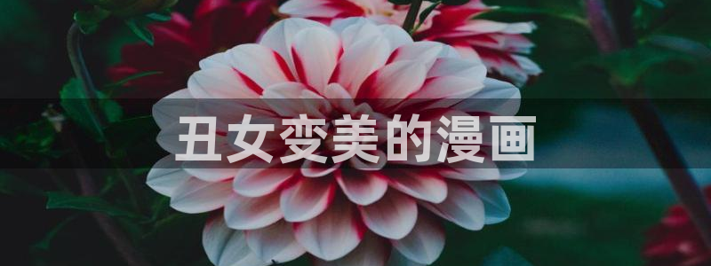 羞羞漫画弱点：丑女变美的漫画