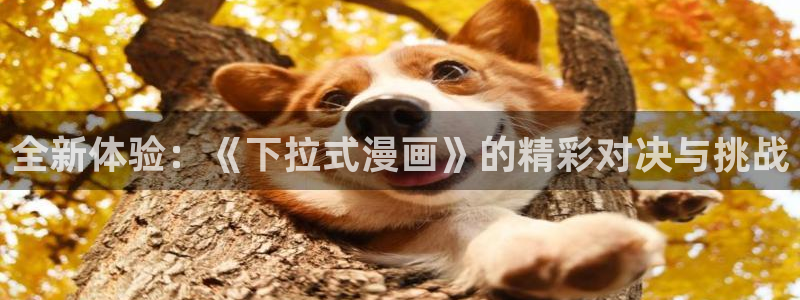 羞羞漫画网页免费